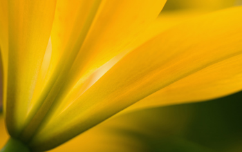 360313 Retirement Adequacy Web