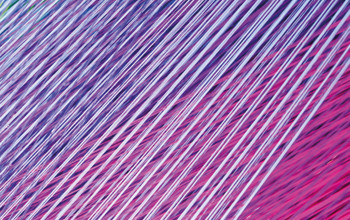 pink and purple lines